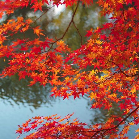 Stay Sakura Kyoto Nijo Castle West I 외부 사진