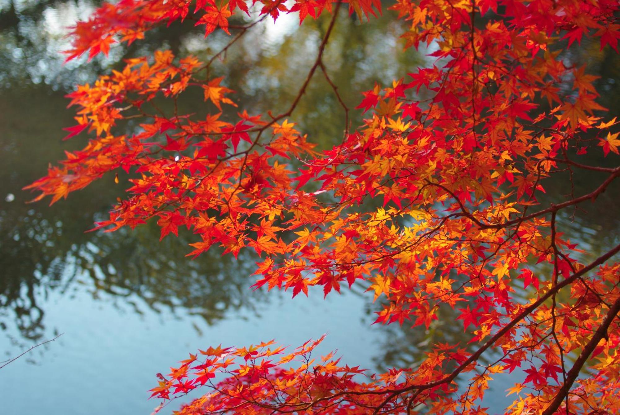 Stay Sakura Kyoto Nijo Castle West I 외부 사진