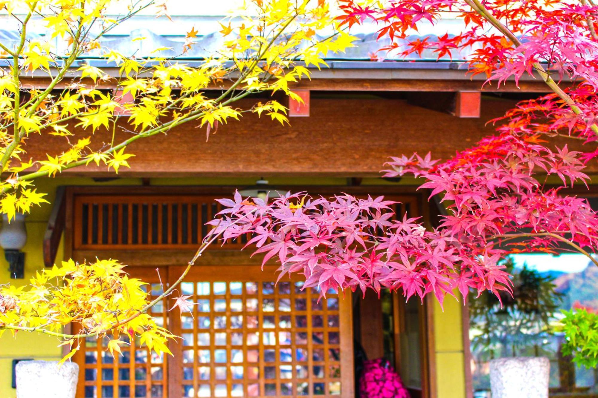 Stay Sakura Kyoto Nijo Castle West I 외부 사진